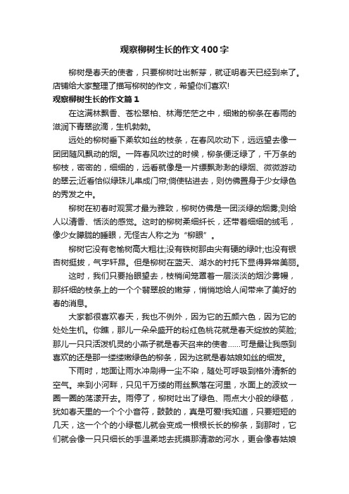 观察柳树生长的作文400字