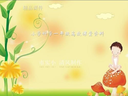 小学科学一年级高效课堂资料《生活中的材料》课件1