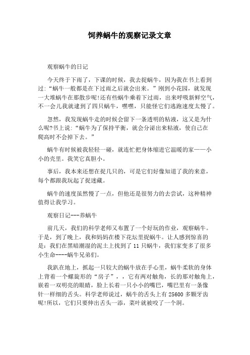 饲养蜗牛的观察记录文章