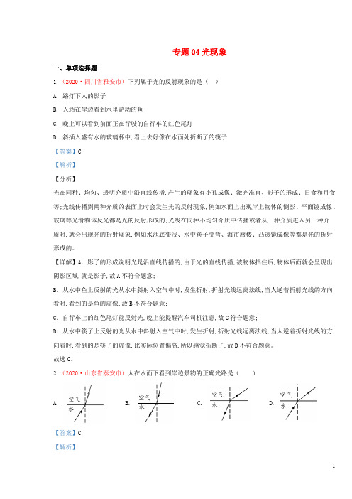 中考物理真题分类汇编第1期专题04光现象含解析