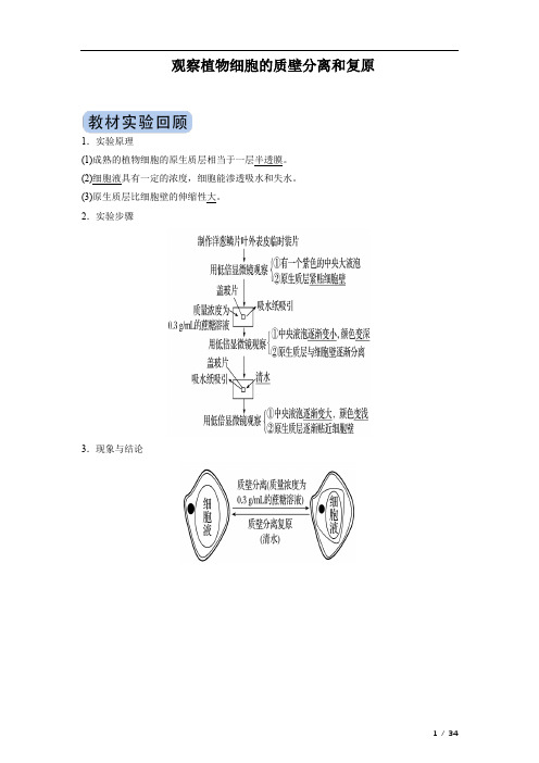 冲刺2020高考生物实验突破专题：观察植物细胞的质壁分离和复原(附答案及解析)