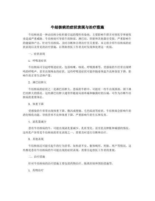 牛结核病的症状表现与治疗措施