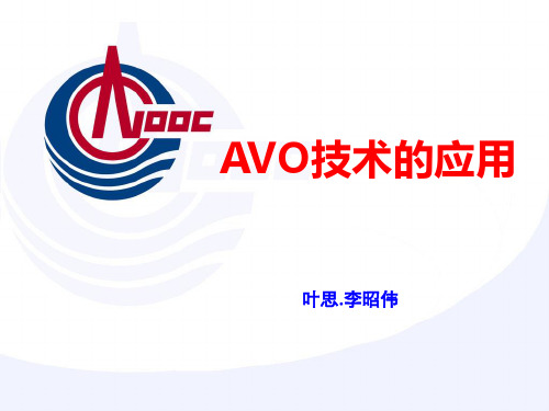 AVO技术应用原理汇编