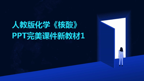 2024人教版化学《核酸》PPT完美课件新教材1