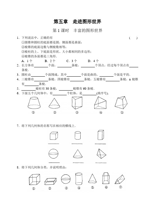 七上数学走进图形世界 第1课时 丰富的图形世界练习 含答案 题型全