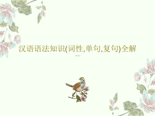 汉语语法知识(词性,单句,复句)全解共43页PPT