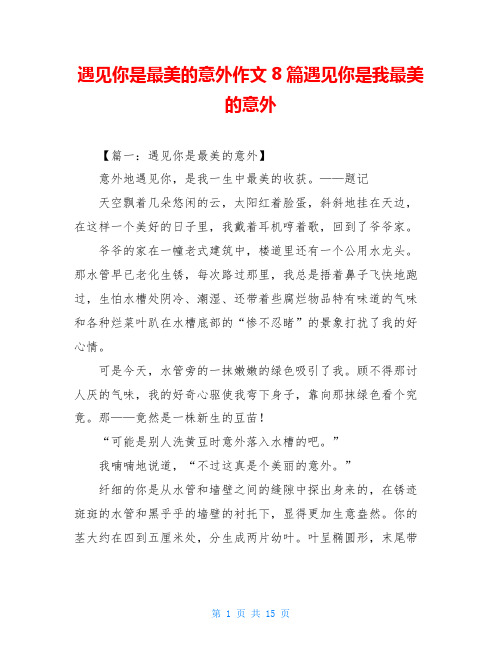 遇见你是最美的意外作文8篇遇见你是我最美的意外