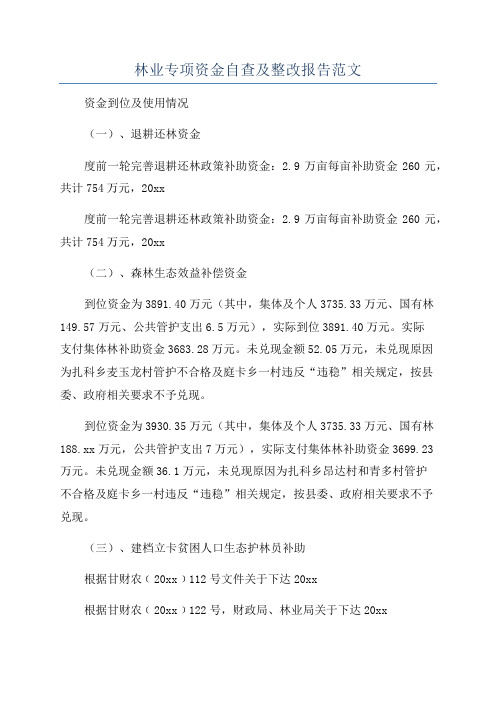 林业专项资金自查及整改报告范文