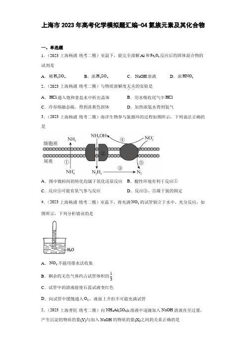 2023年上海市高考一模化学题汇编-04氮族元素及其化合物