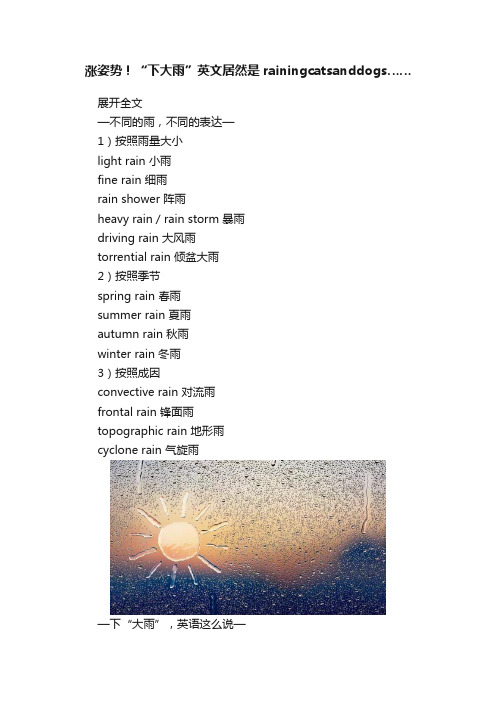 涨姿势！“下大雨”英文居然是rainingcatsanddogs……