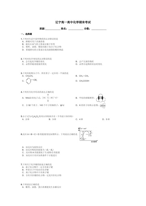 辽宁高一高中化学期末考试带答案解析
