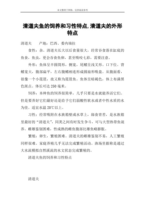 清道夫鱼的饲养和习性特点,清道夫的外形特点