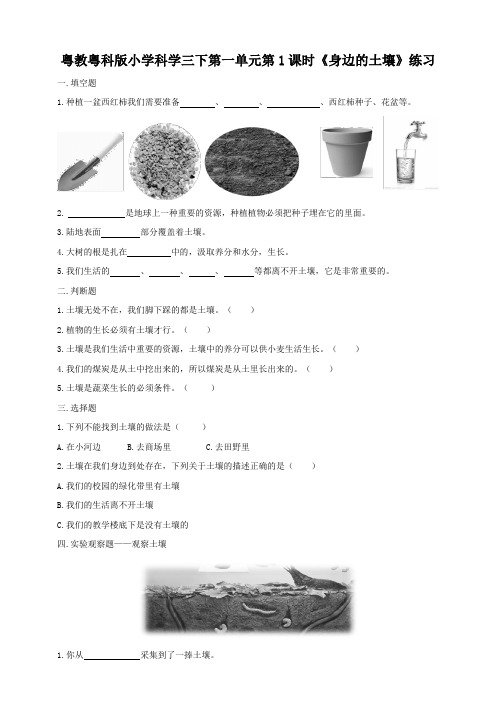 粤教粤科版小学科学三年级下册课时同步练习试题(附答案)全册