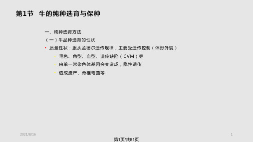 养牛学牛的遗传改良与现代育种技术PPT课件