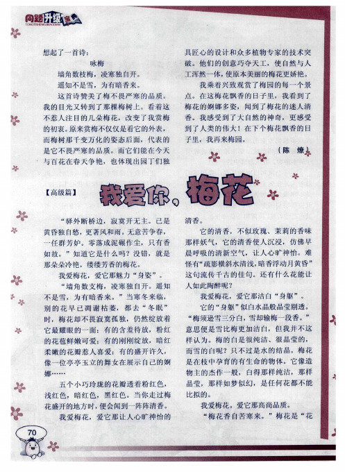 我爱你,梅花