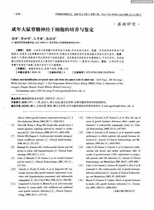 成年大鼠脊髓神经干细胞的培养与鉴定