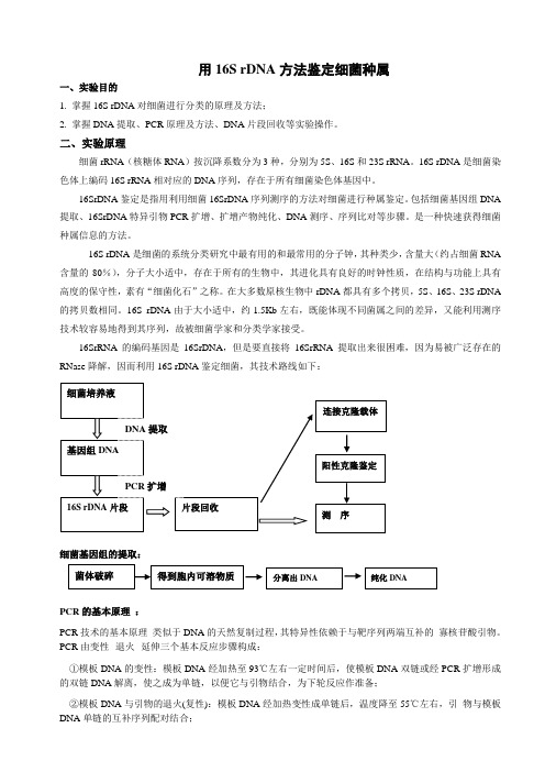 用16S rDNA方法鉴定细菌种属