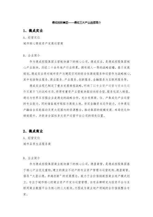 德成控股集团—三大产业品牌简介