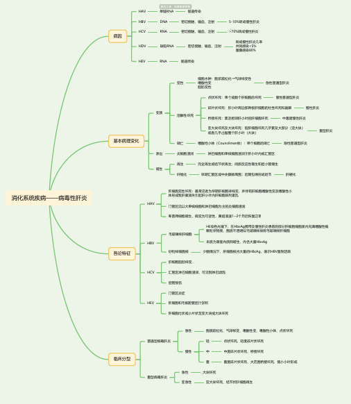 消化系统疾病——病毒性肝炎思维导图-简单高清脑图_知犀