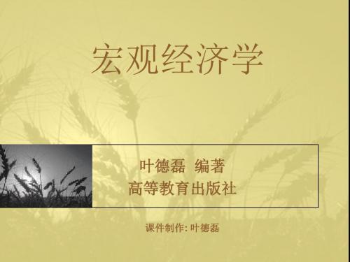 宏观经济学PPT