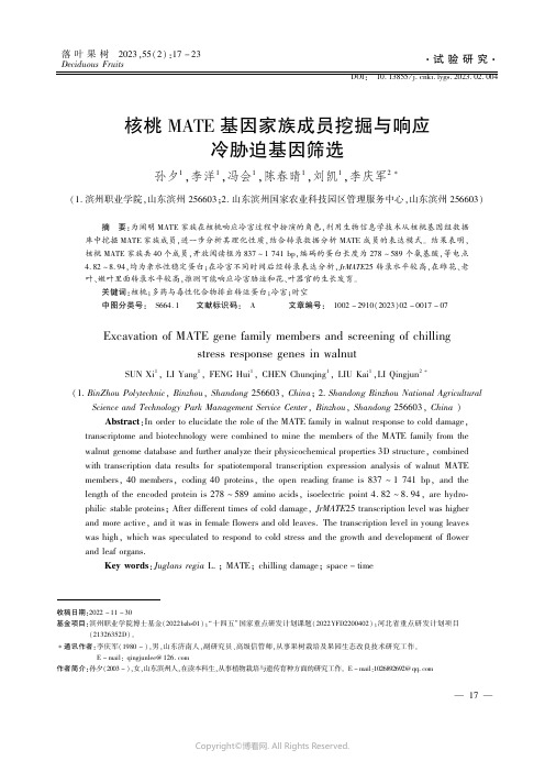 核桃MATE基因家族成员挖掘与响应冷胁迫基因筛选