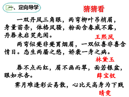 九年级语文：24.刘姥姥进大观园 课件(共28张PPT)