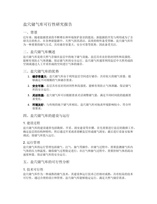 盐穴储气库可行性研究报告