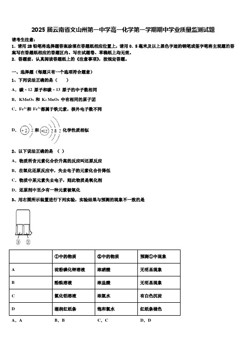 2025届云南省文山州第一中学高一化学第一学期期中学业质量监测试题含解析