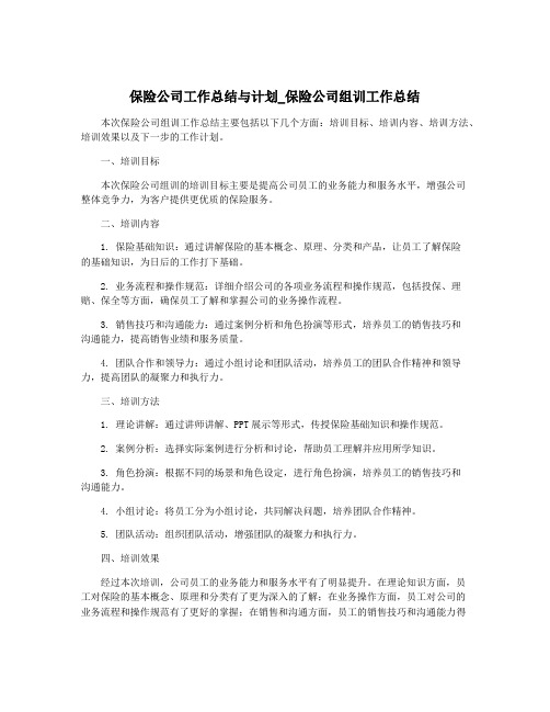 保险公司工作总结与计划_保险公司组训工作总结