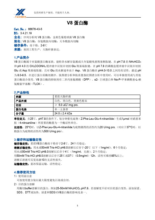 V8蛋白酶
