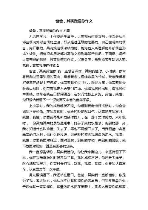 爸爸，其实我懂你作文