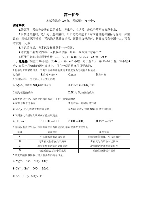 广东省部分学校2024-2025学年高一上学期期中联考 化学试题(含答案)