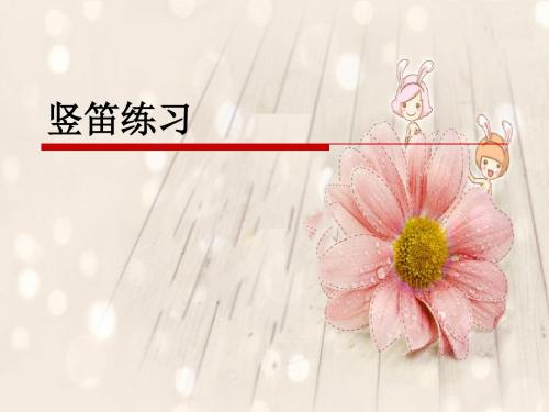 《竖笛练习(四)》课件
