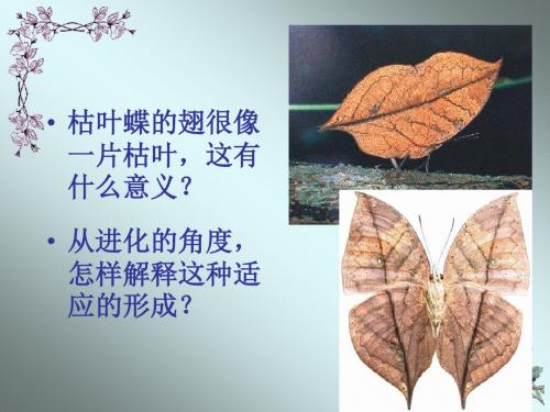 现代生物进化理论的由来