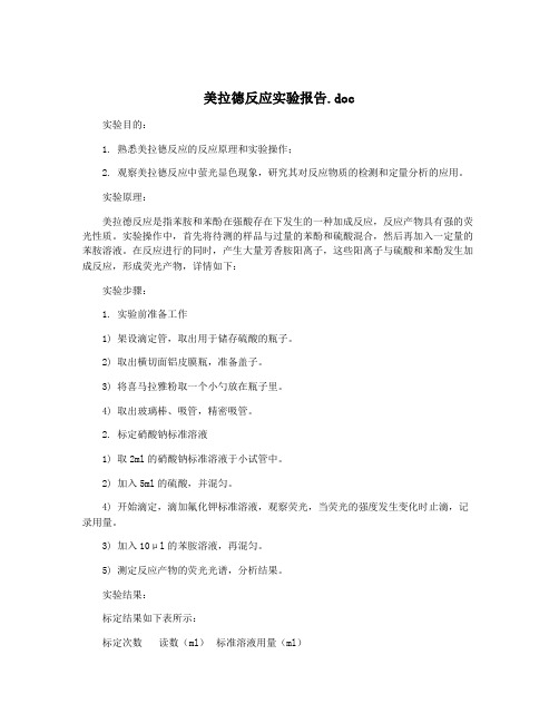 美拉德反应实验报告.doc