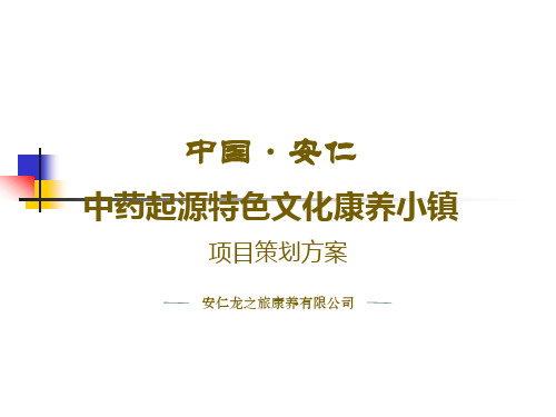 中药起源特色文化康养小镇策划方案