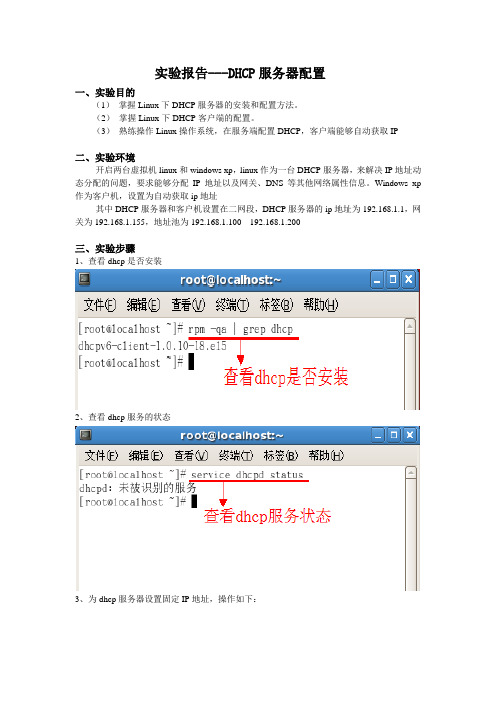 dhcp配置实验报告