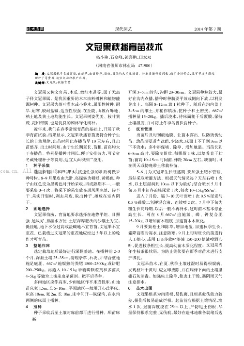 文冠果秋播育苗技术