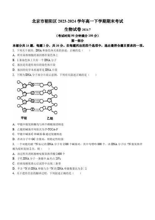 北京市朝阳区2023-2024学年高一下学期期末考试生物学试卷(含答案)