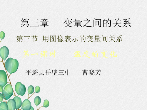 《利用三角形全等测距离》PPT课件 (公开课)2022年北师大版 (8)