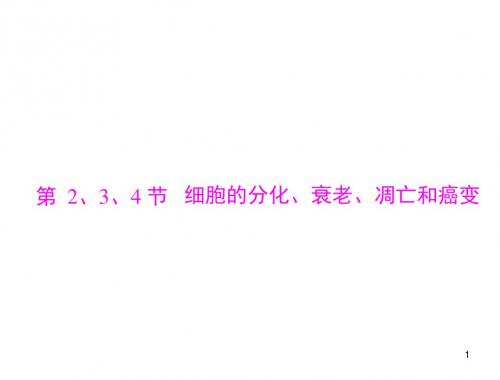 《精品》2020年高考生物一轮必修1第6章第2、3、4节细胞的分化、衰老、凋亡和癌变