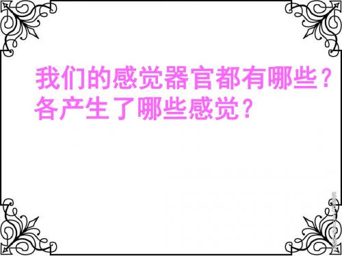 苏教版小学科学五年级下册《感觉》课件