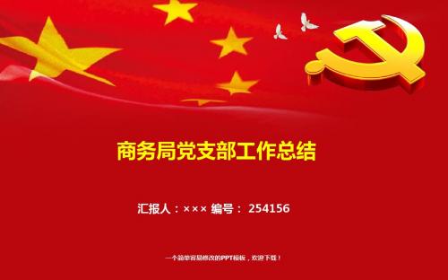 最新商务局党支部工作总结报告模板
