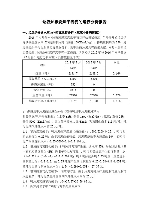 垃圾炉掺烧烘干污泥分析报告