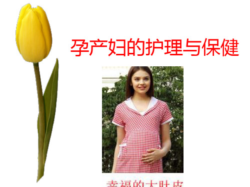 孕产妇的保健PPT课件