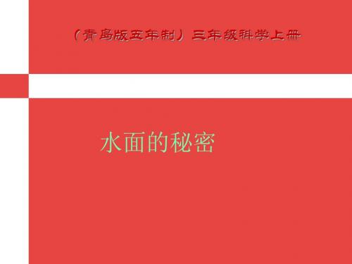 青岛版小学科学 13水面的秘密 公开课优质课课件教学课件精品