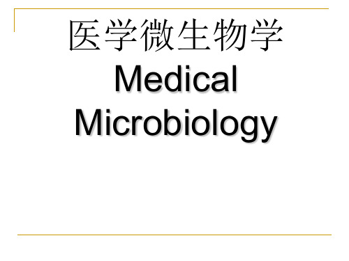 医学微生物概述