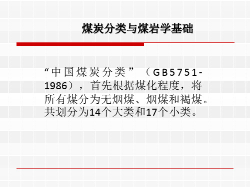 煤炭分类与煤岩学基础