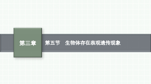 浙科版高中生物必修第2册 第三章 第五节 生物体存在表观遗传现象