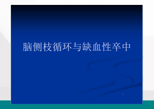 脑侧枝循环与缺血性卒中PPT演示课件